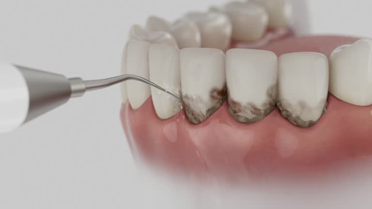 Reliable Dental contractor in Laurel, MD by Dentist Open Now